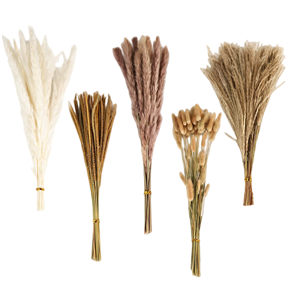 Dried Flower Bulk - Buquê de Flores Secas Mistas Vintage